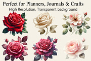 Watercolor Rose Flowers Clipart, an Illustration by Libby Wishes (Thumbnail 2 of 3)