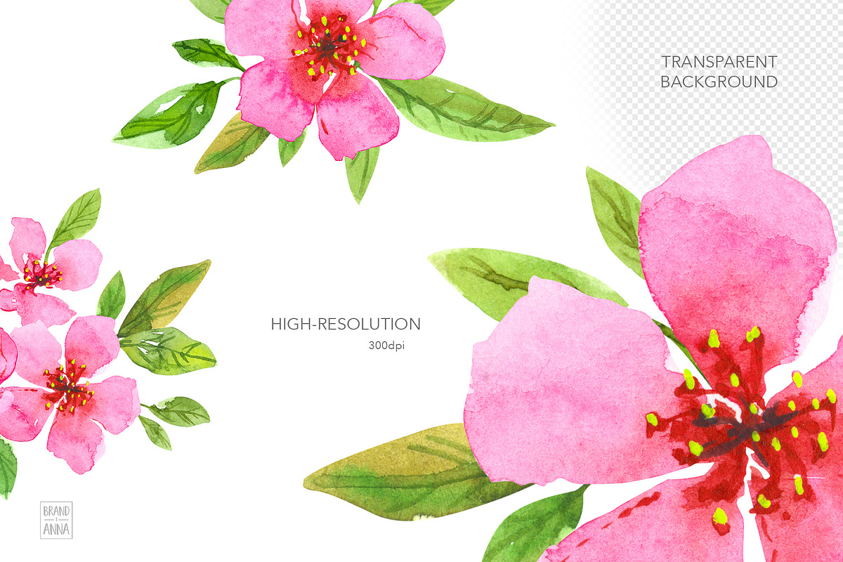 Spring flowers watercolor clipart, an Illustration by Brandianna (Photo 6 of 9)