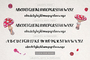 Amanita font., a Script Font by Red Ink (Thumbnail 4 of 7)