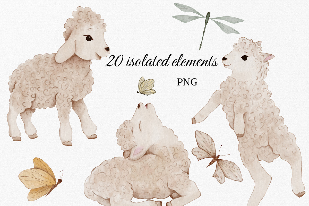 Cute Lambs Watercolor animal set, an Animal Illustration by ZabolotnaArt (Photo 2 of 10)
