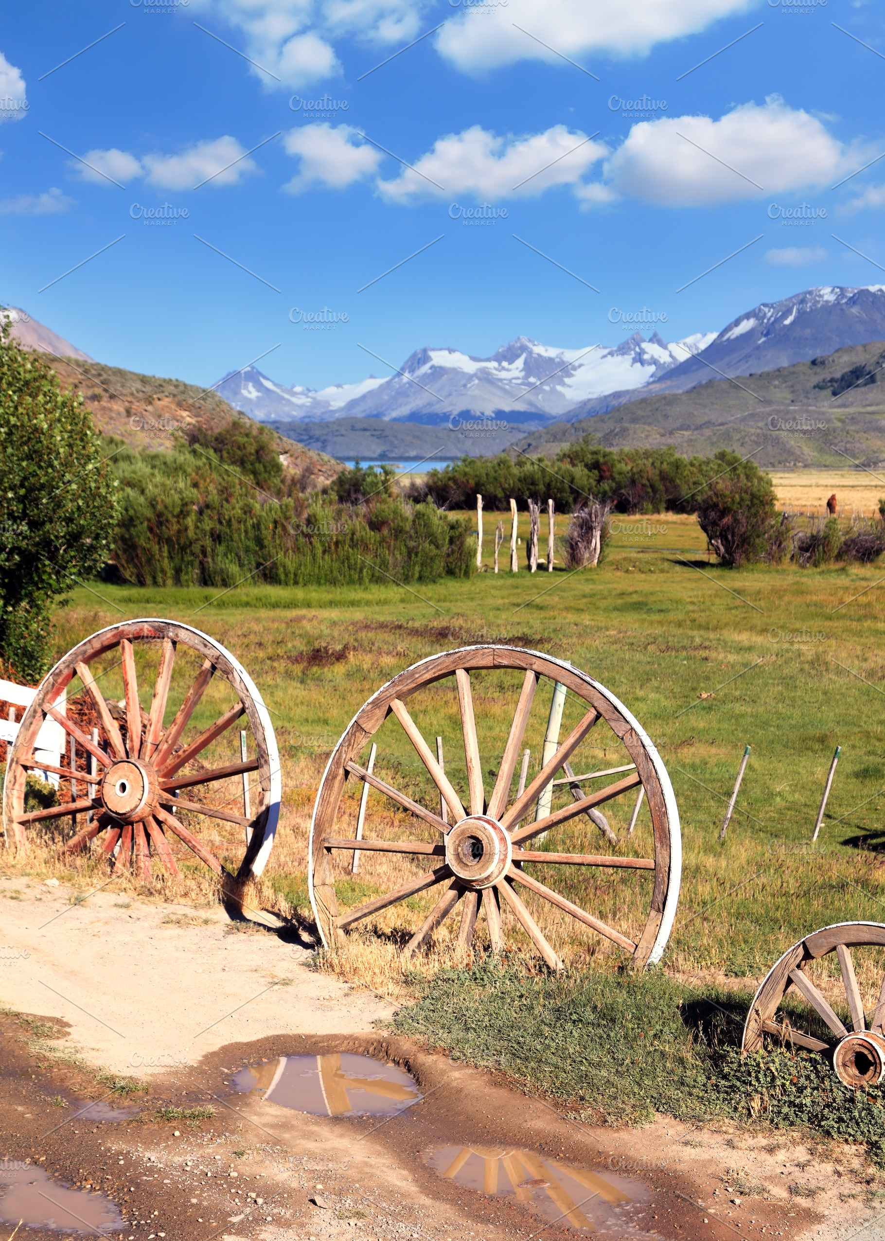 The access road to the estancia, a Nature Photo by kavram