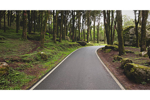 Winding road through Sintra Cascais, a Nature Photo by Goinyk