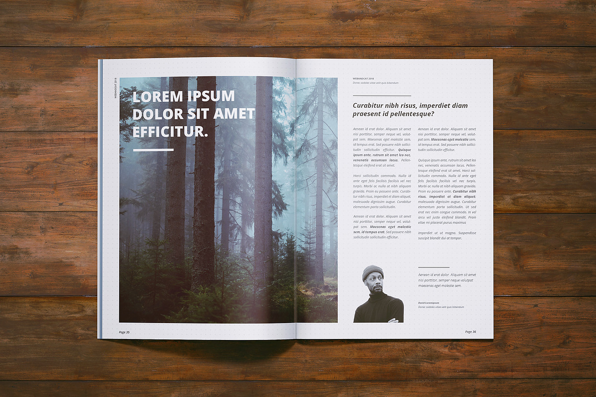 A4 Magazine | Brochure Mock-up, a Books & Magazine Mockup by WebAndCat (Photo 12 of 32)