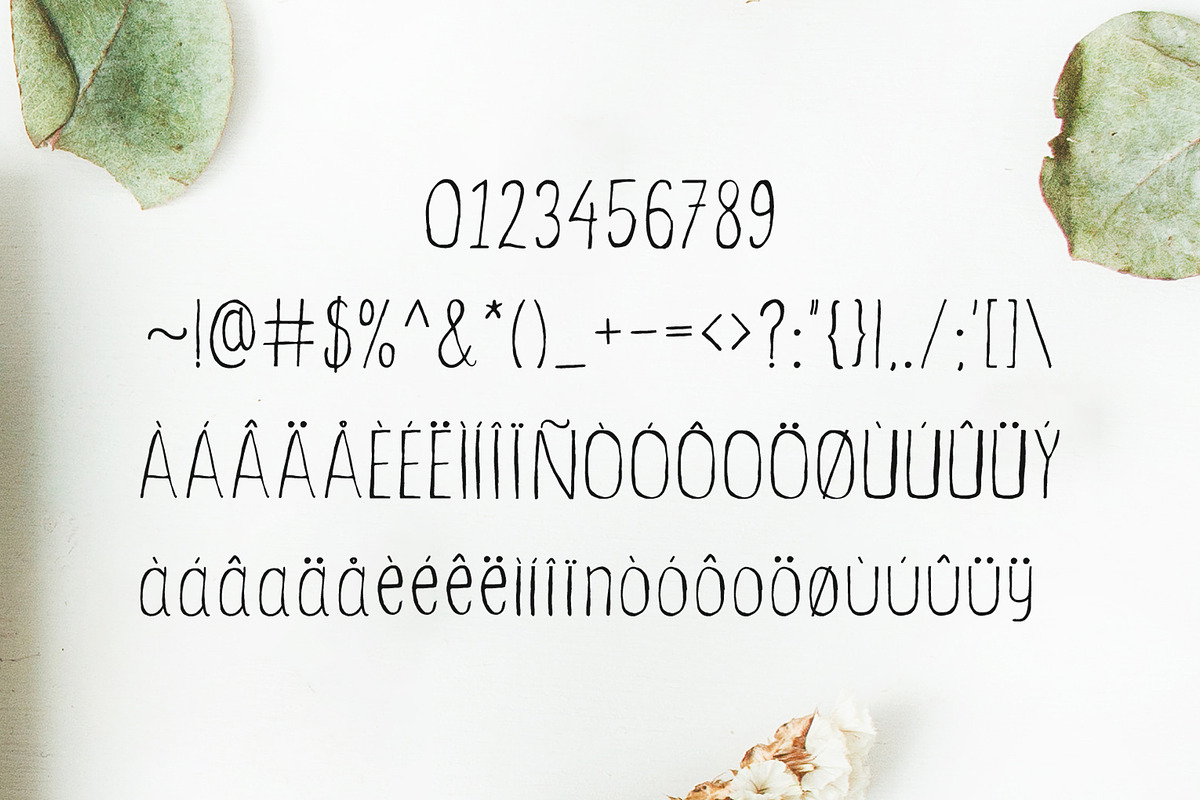 Ceica Handwritten Duo Font + Bonus preview 5