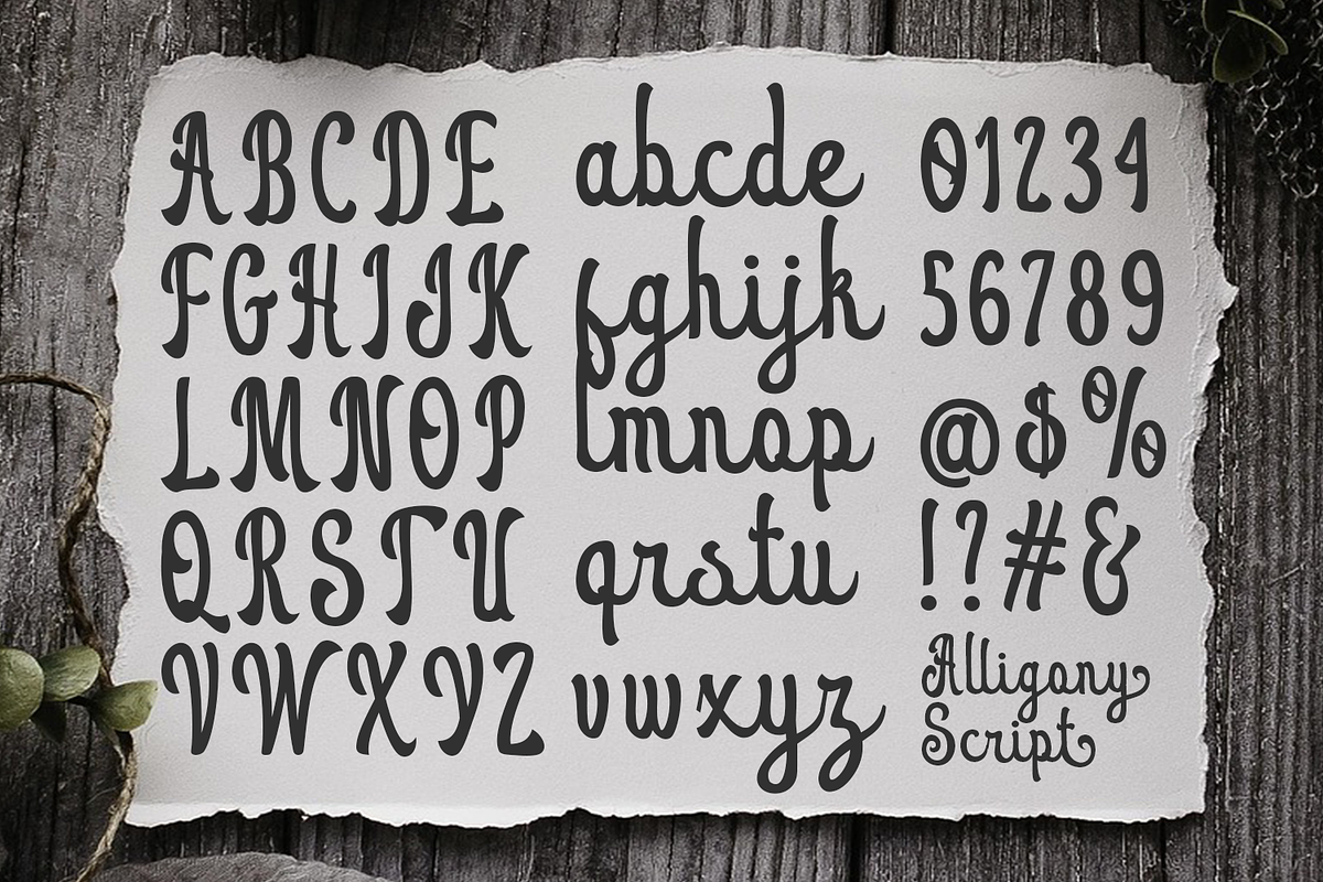 Alligony Retro Script, a Script Font by madeDeduk (Photo 4 of 10)