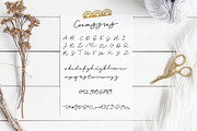 Cuassus | Script font, a Handwritten Font by Artstudio (Thumbnail 5 of 6)