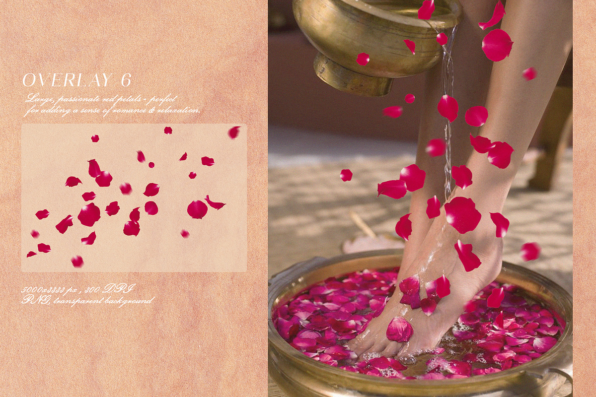Multicolored Rose Petals Overlays, a Texture Graphic by Kaleriia (Photo 7 of 16)