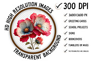 Spring Cosmos Flower Clipart Png, an Illustration by Craft Nest (Thumbnail 2 of 11)