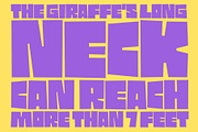 TOMO Pillo, a Sans Serif Font by TOMO Fonts (Thumbnail 5 of 8)