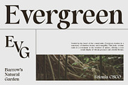Felonia – Classic Serif, a Serif Font by Craft Supply Co. (Thumbnail 3 of 8)