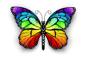 Rainbow Monarch Butterfly