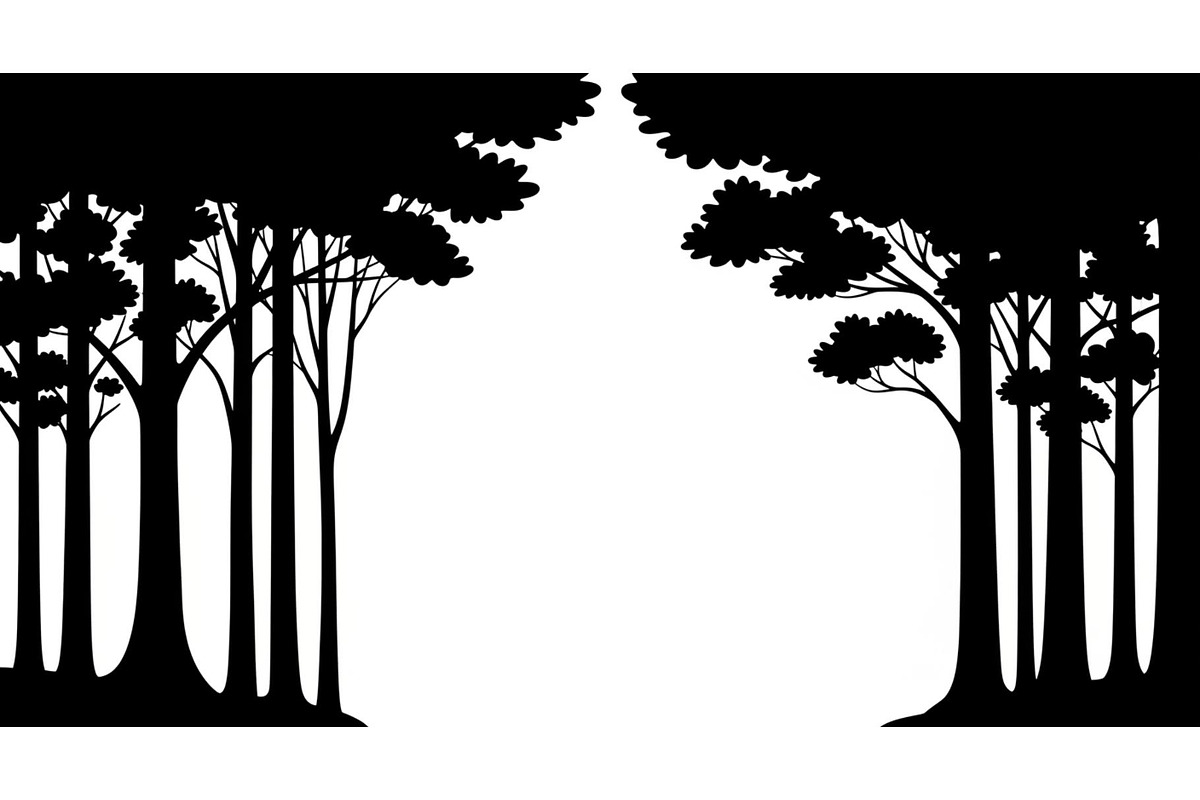 Forest Frame Silhouette SVG Bundle, an Illustration by jahid234 (Photo 21 of 51)