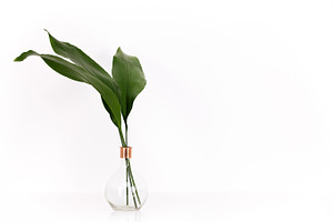 Styled Mockup leaves ♥