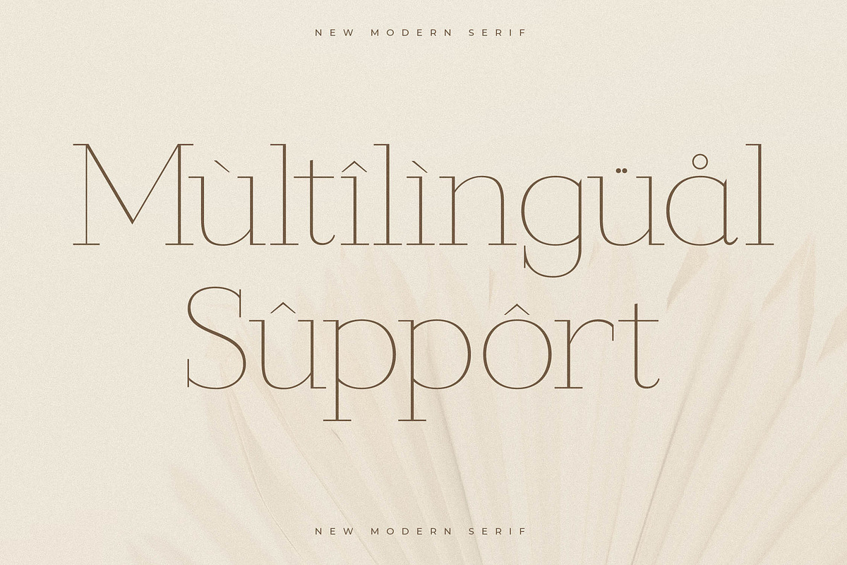 Callidora New Modern Serif, a Serif Font by Storytype Studio (Photo 12 of 15)