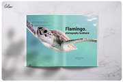 Photography Lookbook, a Brochure Template by Celine Studio (Thumbnail 6 of 9)