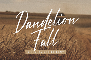 Dandelion Fall - Script Font