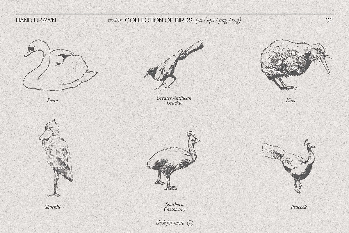 Birds of Various Species, an Animal Illustration by TheMountBirdStudio (Photo 3 of 6)
