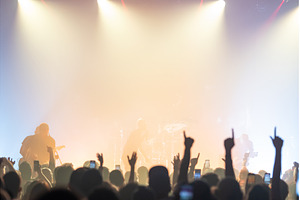 Crowd raising hands under bright, a Person Photo by Barcelona_dreams