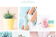 Script font Wild Irish Rose, a Script Font by Itsmesimon (Thumbnail 8 of 25)