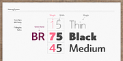 Core Sans BR, a Sans Serif Font by S-Core (Thumbnail 2 of 7)