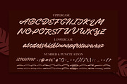 Babylonia, a Script Font by Gatype (Thumbnail 10 of 10)