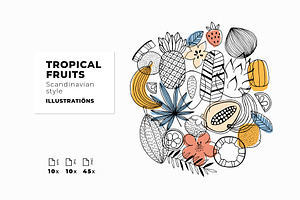 Tropical fruit illustrations