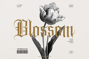 The Blackletter Bundle Alitdesign