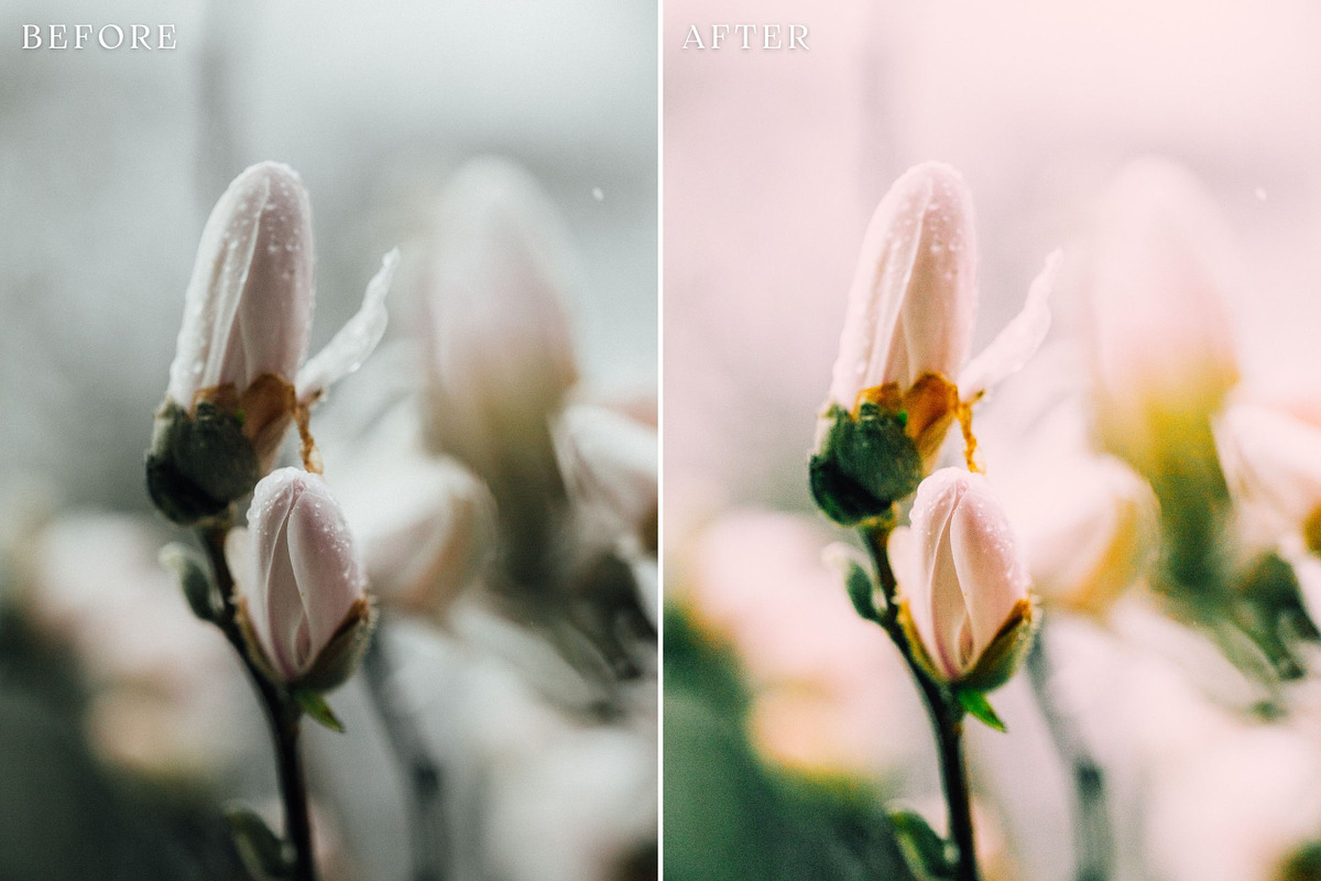 Floral Lightroom Presets, a Layer Style Add-On by Rapita Photography© (Photo 10 of 11)