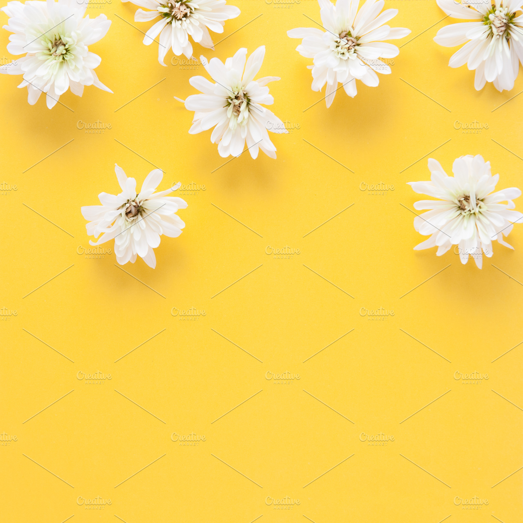 Spring Flowers, a Photo by Siân C Photography