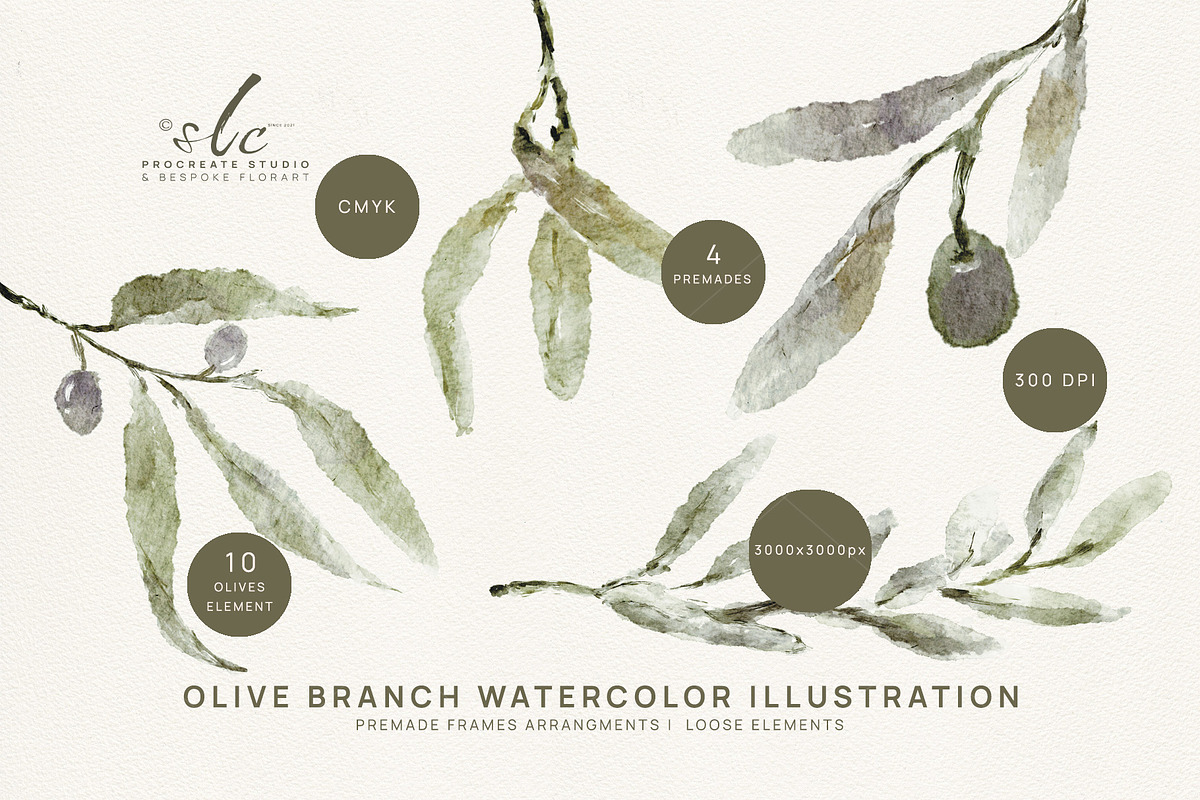 Olives Branches Watercolor, a Seasonal Illustration by slowlivecreate (Photo 2 of 5)