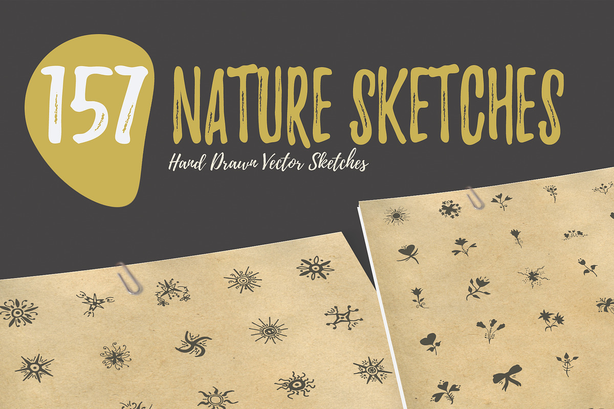 150+ Hand Drawn Nature Sketches, an Illustration by Imagine Design (Photo 1 of 5)