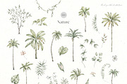 Tropical Jungle Watercolor Animals, an Animal Illustration by Kreker Kate (Thumbnail 6 of 14)
