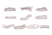 Caterpillar Hand Drawn Illustration, an Animal Illustration by SLAB! Design (Thumbnail 2 of 3)