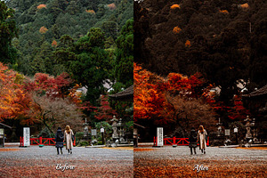 25 Autumnal Photoshop Actions