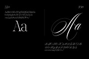 Reichamerina font family, a Serif Font by Ryul Davidson (Thumbnail 13 of 27)