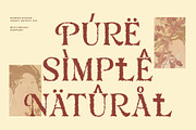 Risbeg Rough, a Serif Font by Craft Supply Co. (Thumbnail 3 of 8)