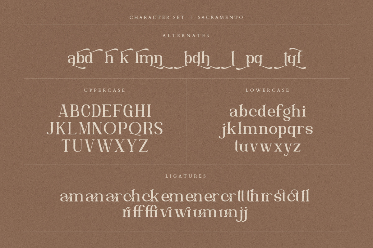 Sacramento Modern Ligature Serif, a Serif Font by Creatype Studio (Photo 8 of 9)