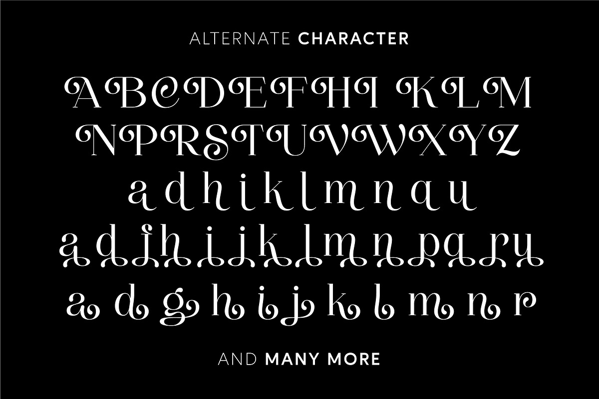 Thenie Dawson - Stylish Serif Font, a Serif Font by Grezline Studio (Photo 11 of 12)