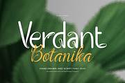 Verdant Botanika | Hand Drawn Script, a Handwritten Font by gracetype_studio (Thumbnail 1 of 12)