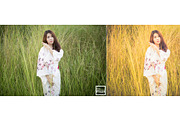 Kamin Japan Mood 2, an Action Add-On by Kamin Lightroom Preset (Thumbnail 11 of 22)