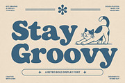 Brackenly - Retro Display Font, a Serif Font by NTC Graphic (Thumbnail 5 of 12)
