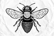 Honey Bee SVG Clipart for Stickers, an Animal Illustration by VectorPanther (Thumbnail 5 of 7)