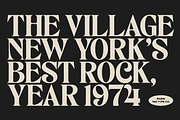 TAN - ROBIN, a Serif Font by TanType (Thumbnail 2 of 11)