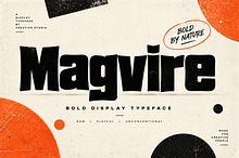 Magvire