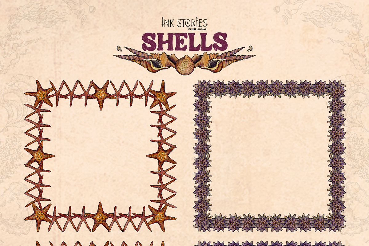 Shells, an Animal Illustration by Ink Stories (Photo 13 of 21)