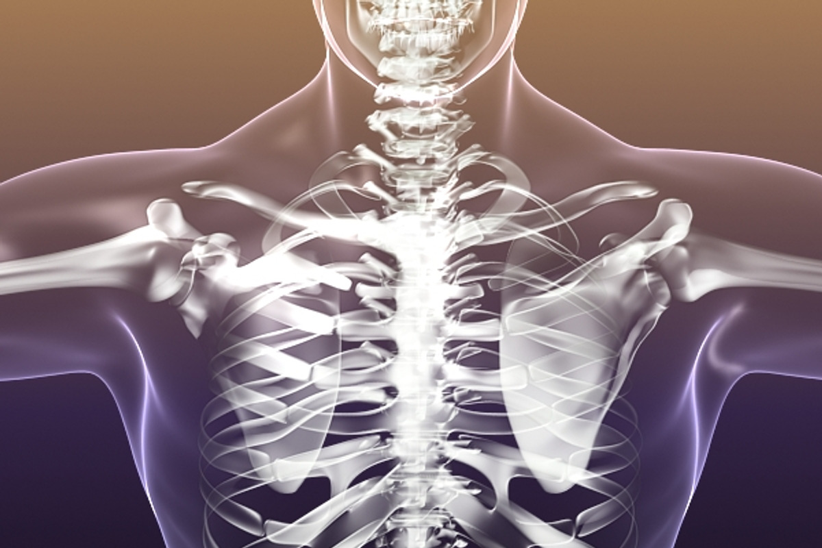 Human Skeleton in Body (X-Ray), a Characters & Person 3D Model by VisualCG (Photo 6 of 8)
