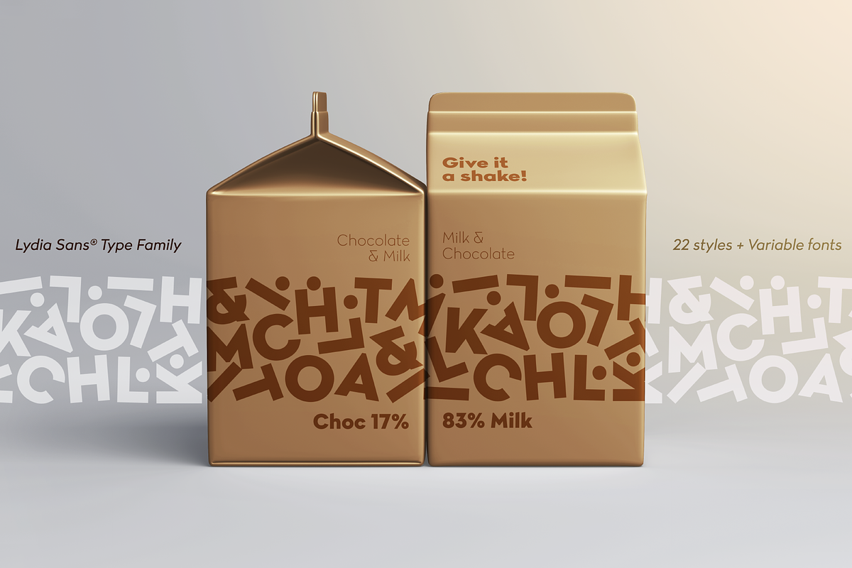 Lydia Sans, a Sans Serif Font by Craceltype (Photo 7 of 9)
