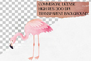 Watercolor Flamingo Clipart Set, an Animal Illustration by CropUp Creative (Thumbnail 4 of 4)