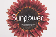 Sansiveyra Handwritten Font, a Font by Dicubit (Thumbnail 3 of 10)