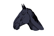 Horse heads set. Stallions breeds, an Animal Illustration by Good Studio (Thumbnail 9 of 12)